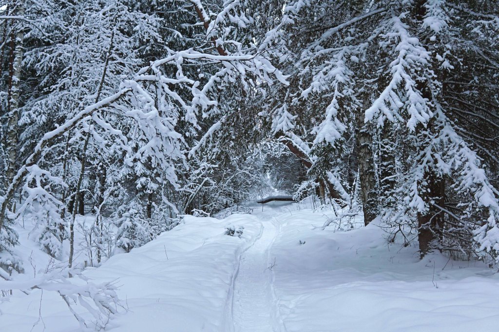 Endla järve matkarada