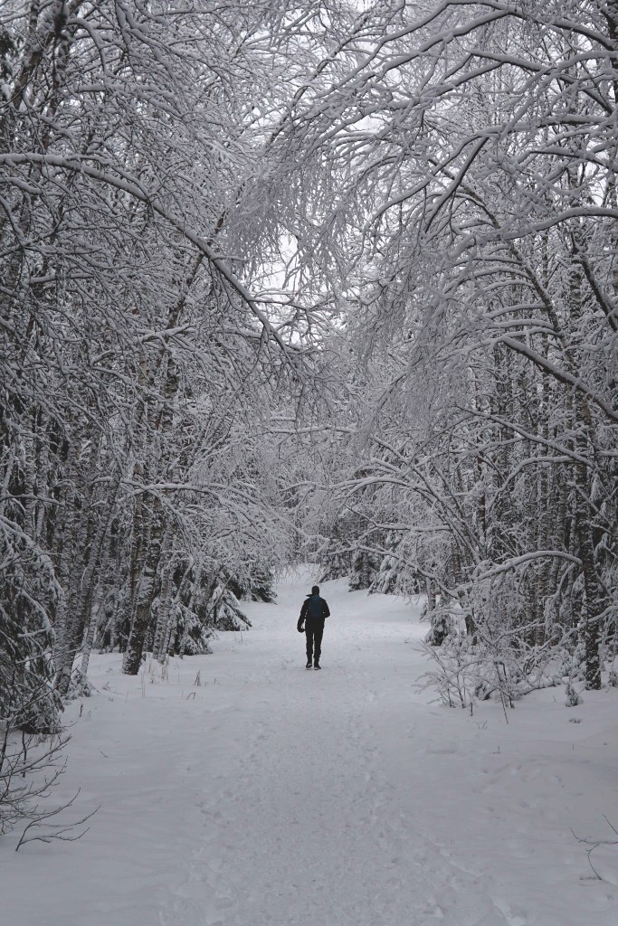 Paukjärve loodusrada