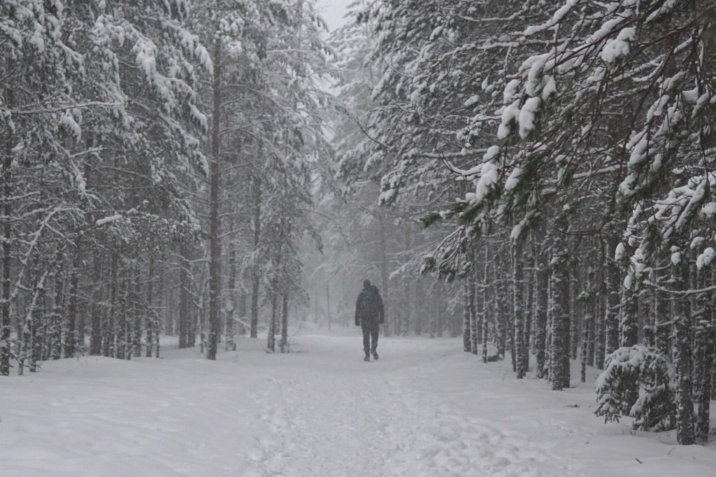 Paukjärve loodusrada