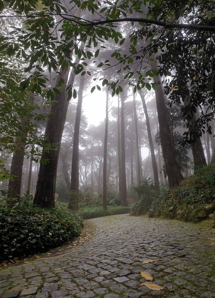 Park and National Palace of Pena, Sintra