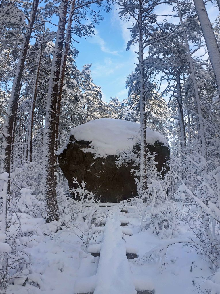 Majakivi-Pikanõmme õpperada