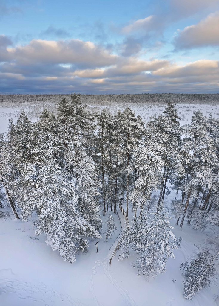 Majakivi-Pikanõmme õpperada