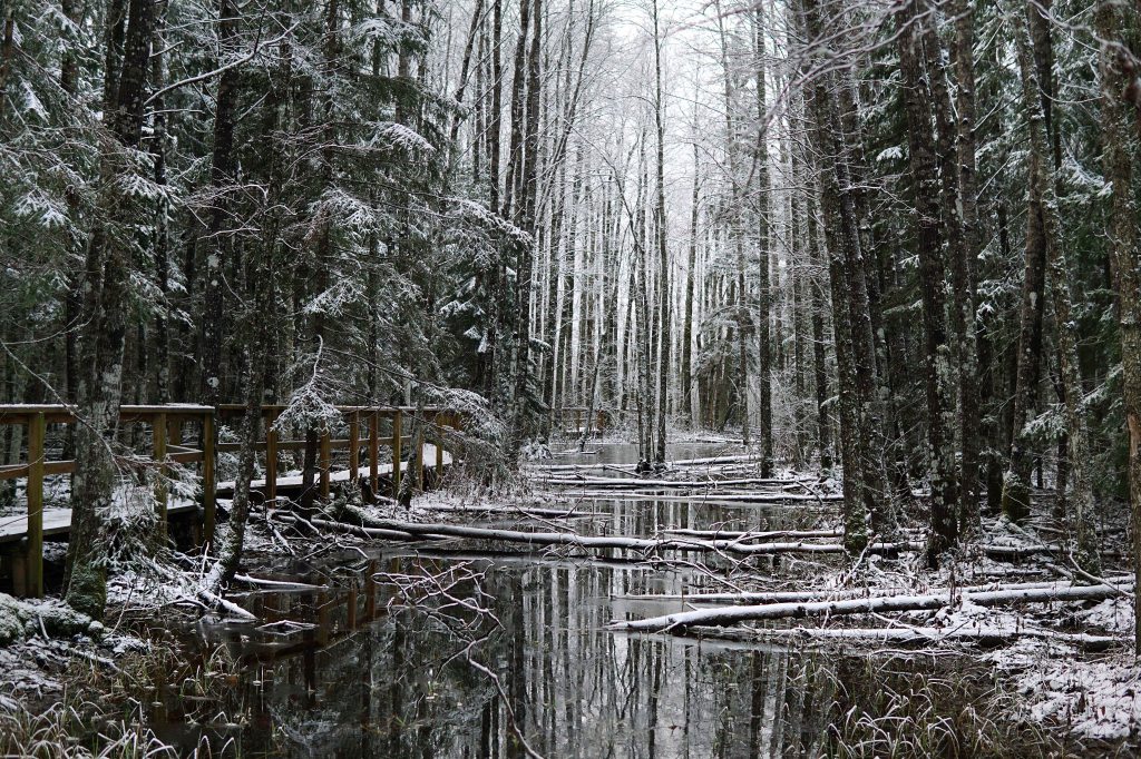 Ingatsi õpperada, Soomaa, Pärnumaa