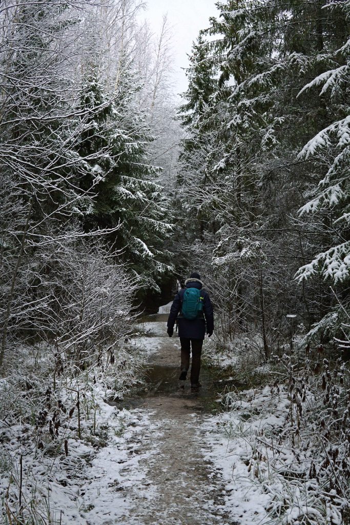 Ingatsi õpperada, Soomaa, Pärnumaa