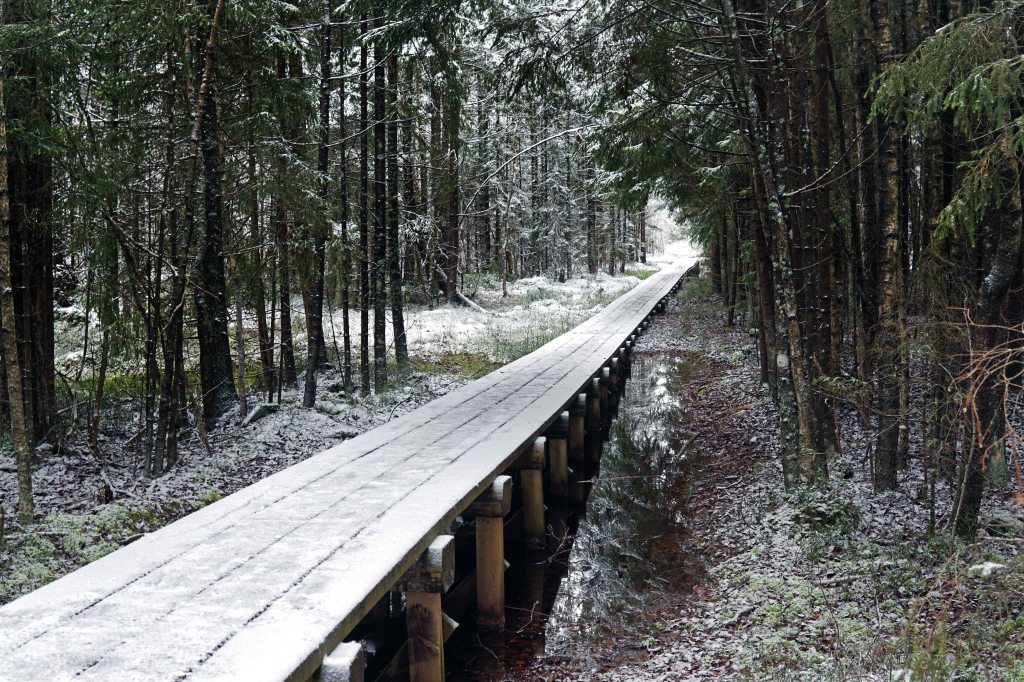 Ingatsi õpperada, Soomaa, Pärnumaa