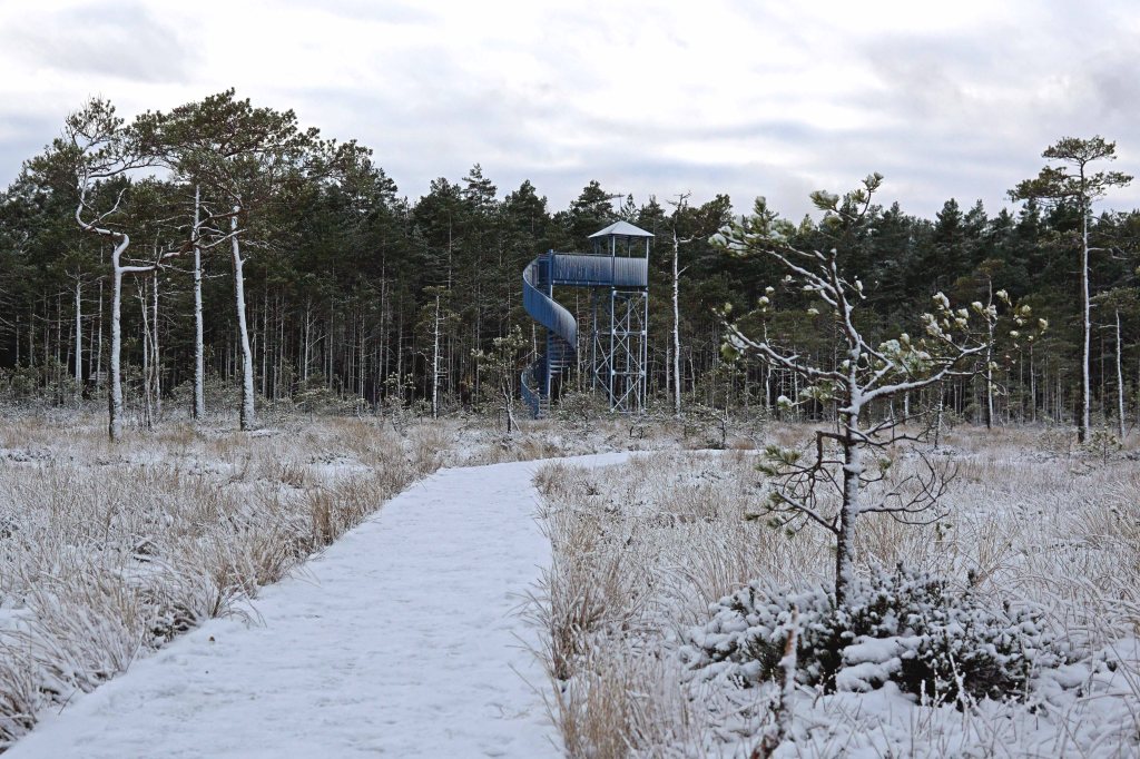Ingatsi õpperada, Soomaa, Pärnumaa