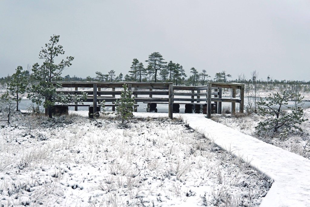 Ingatsi õpperada, Soomaa, Pärnumaa