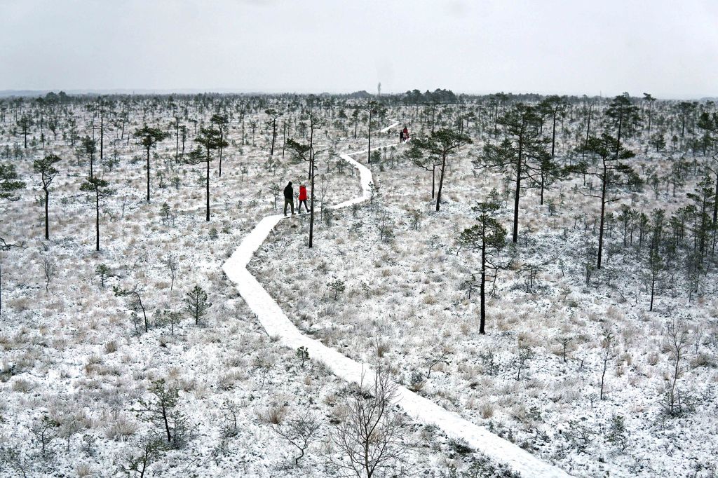 Ingatsi õpperada, Soomaa, Pärnumaa