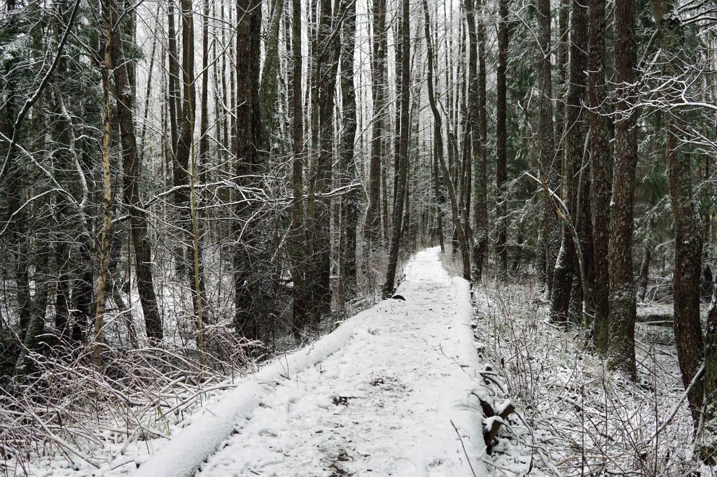 Ingatsi õpperada, Soomaa, Pärnumaa