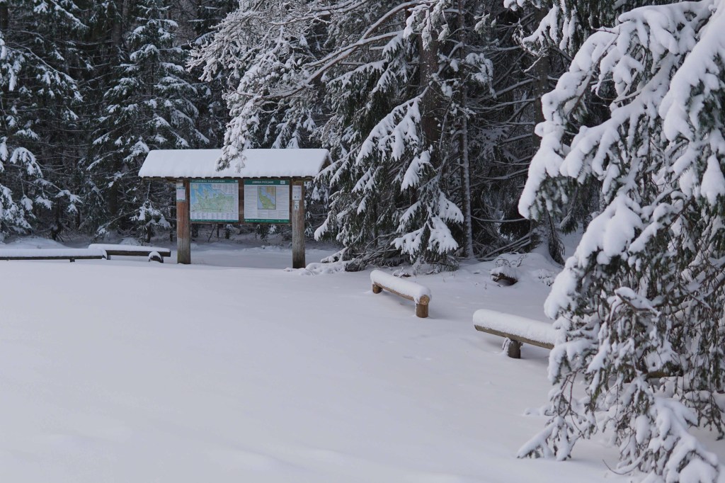 Majakivi-Pikanõmme õpperada