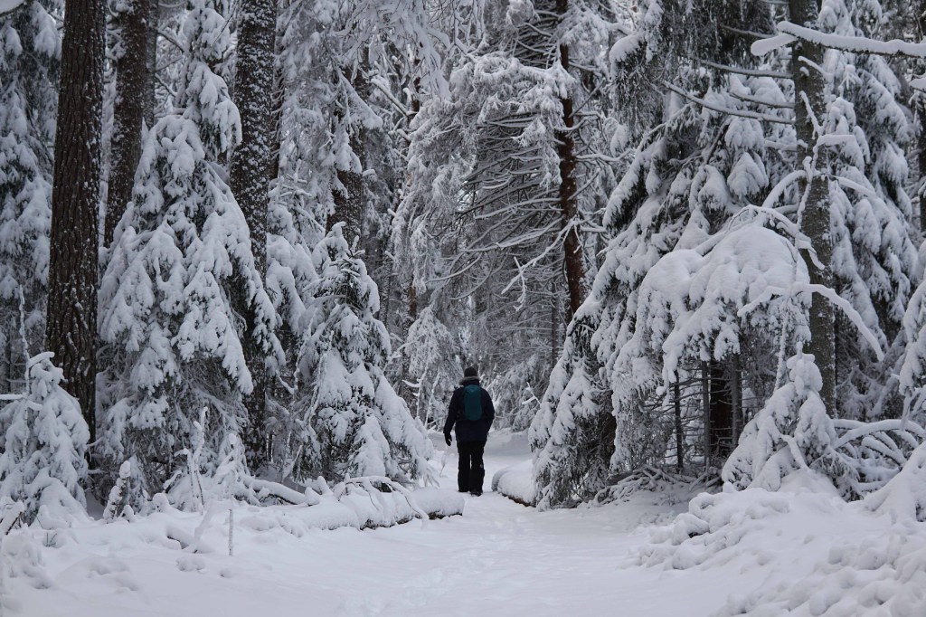 Majakivi-Pikanõmme õpperada