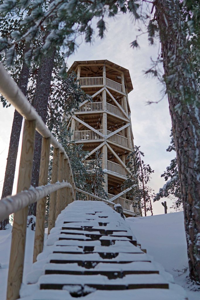 Majakivi-Pikanõmme õpperada