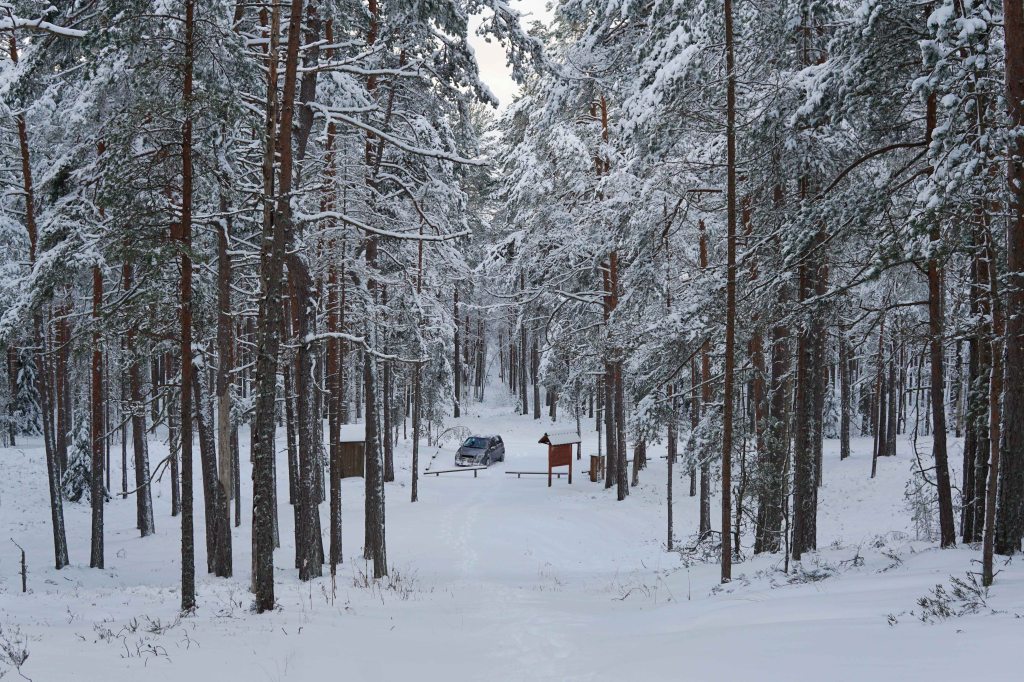 Majakivi-Pikanõmme õpperada