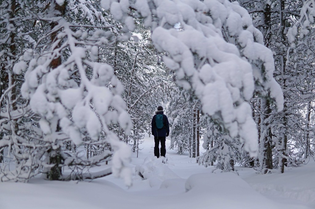 Majakivi-Pikanõmme õpperada