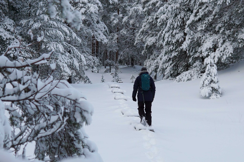 Majakivi-Pikanõmme õpperada