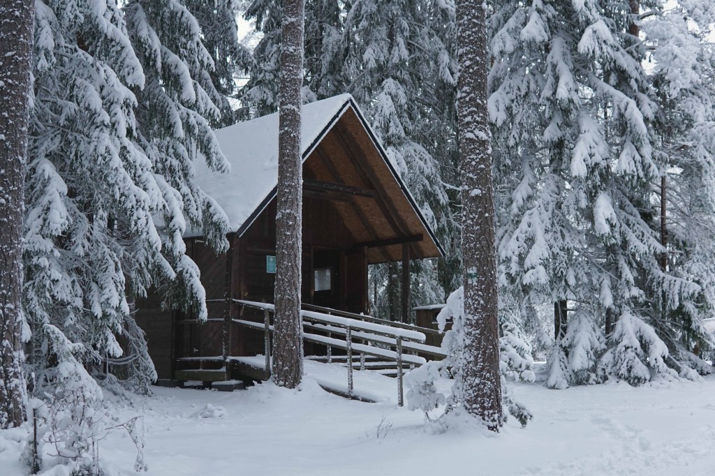 Majakivi-Pikanõmme õpperada