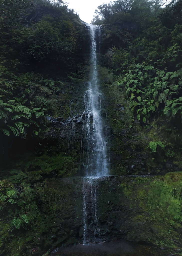 Levada do Caldeirao Verde, Madeira