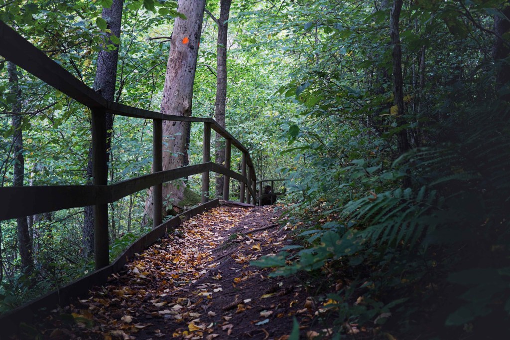 Õisu Põrguoru matkarada