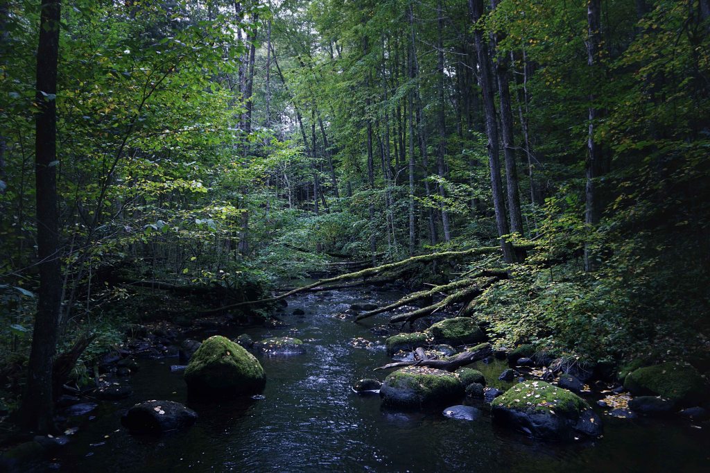 Õisu Põrguoru matkarada