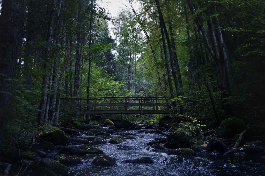 Õisu Põrguoru matkarada