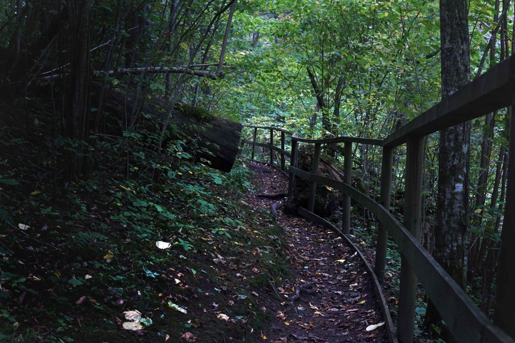 Õisu Põrguoru matkarada