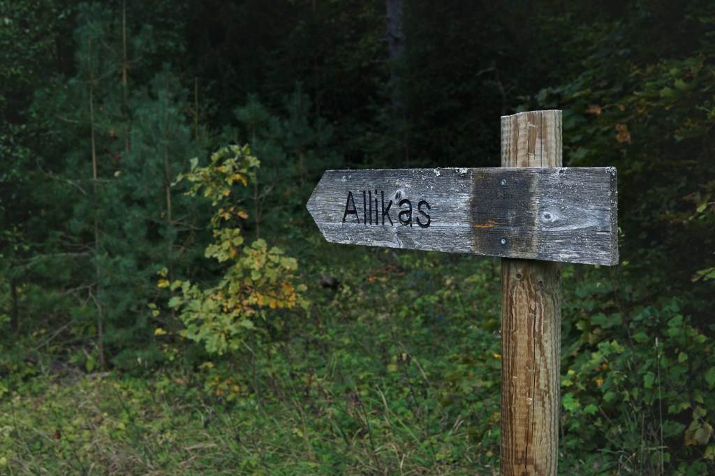 Soontaga matkarada, allikas