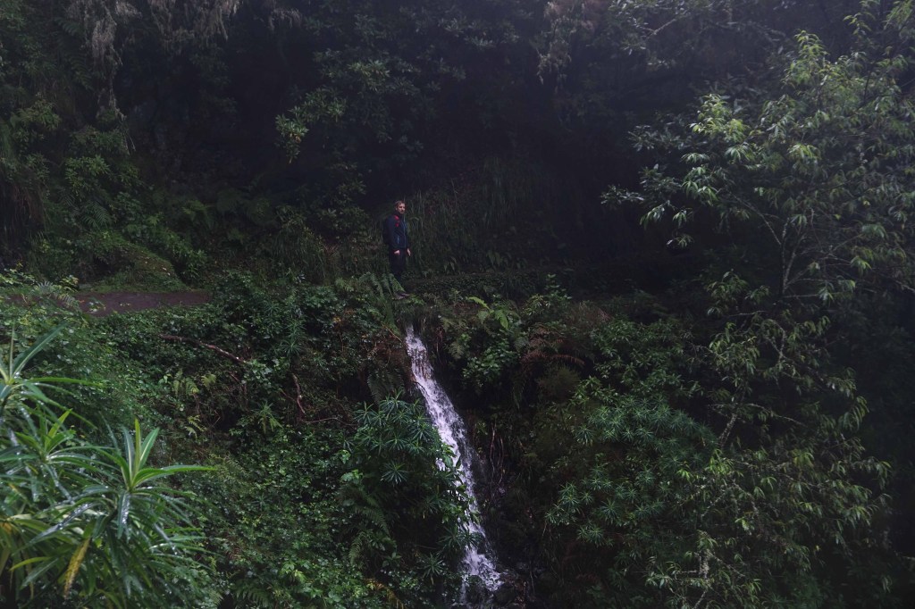 Levada do Caldeirao Verde, Madeira