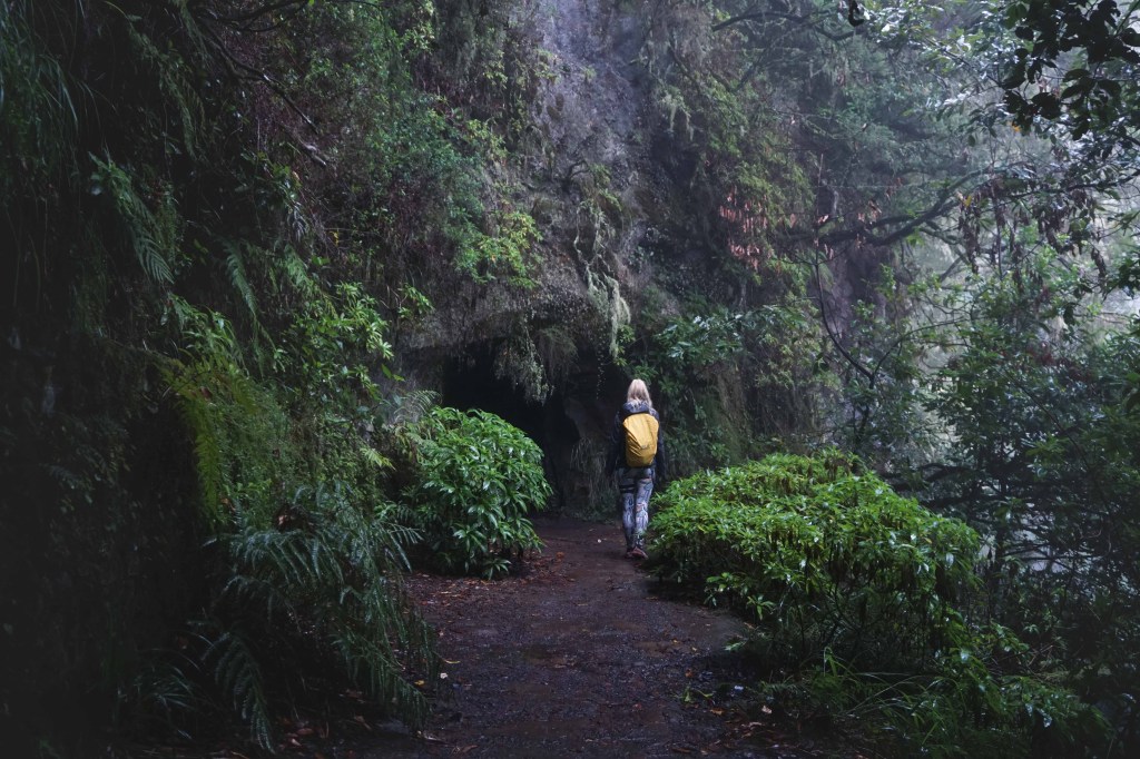 Levada do Caldeirao Verde, Madeira