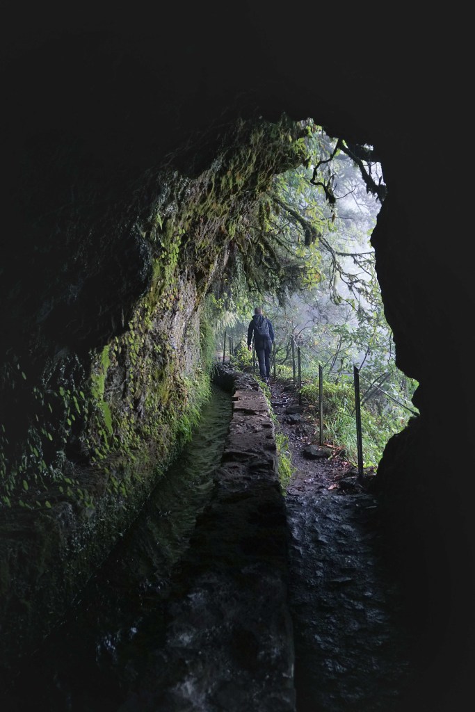 Levada do Caldeirao Verde, Madeira