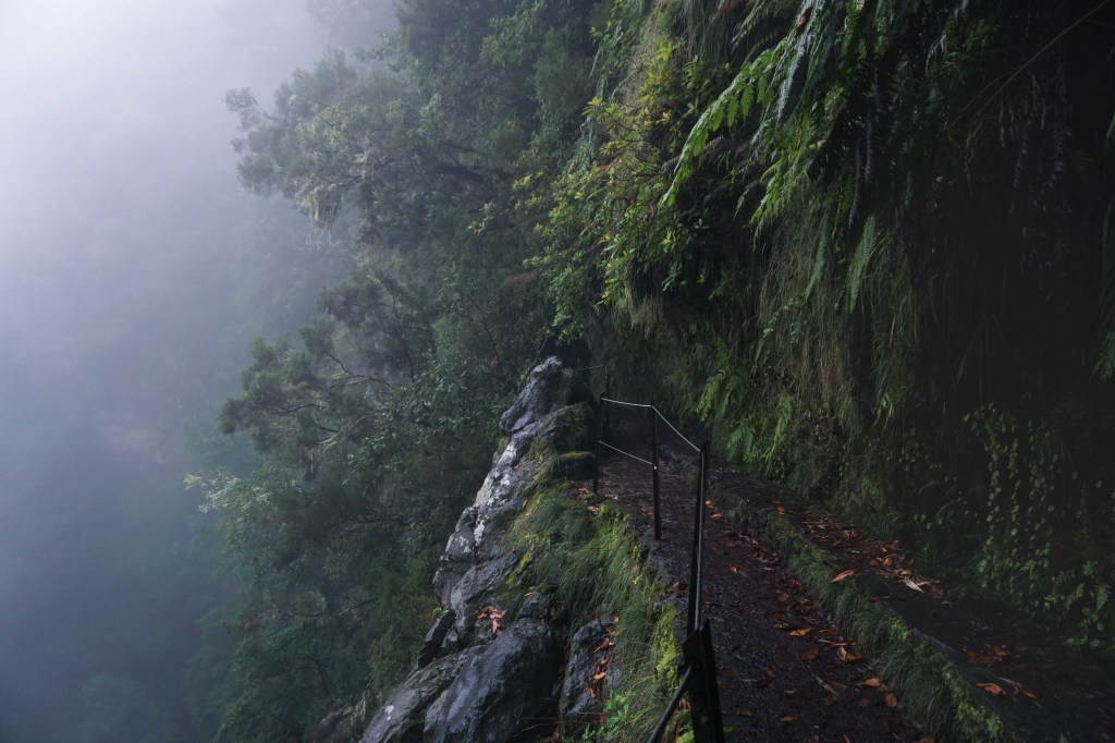 Levada do Caldeirao Verde, Madeira