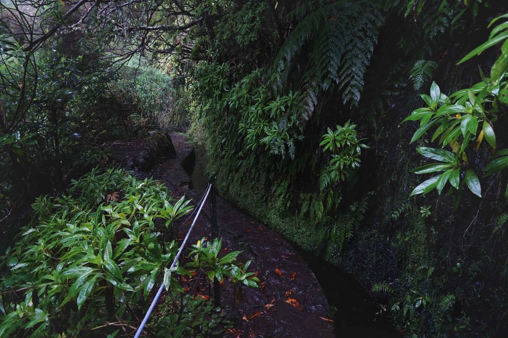 Levada do Caldeirao Verde, Madeira