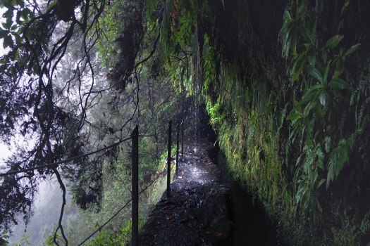 Levada do Caldeirão Verde, Madeira