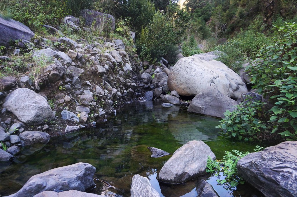 PR7 Levada do Moinho - Levada Nova, Madeira