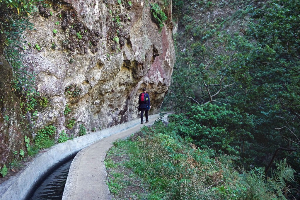 PR7 Levada do Moinho - Levada Nova, Madeira