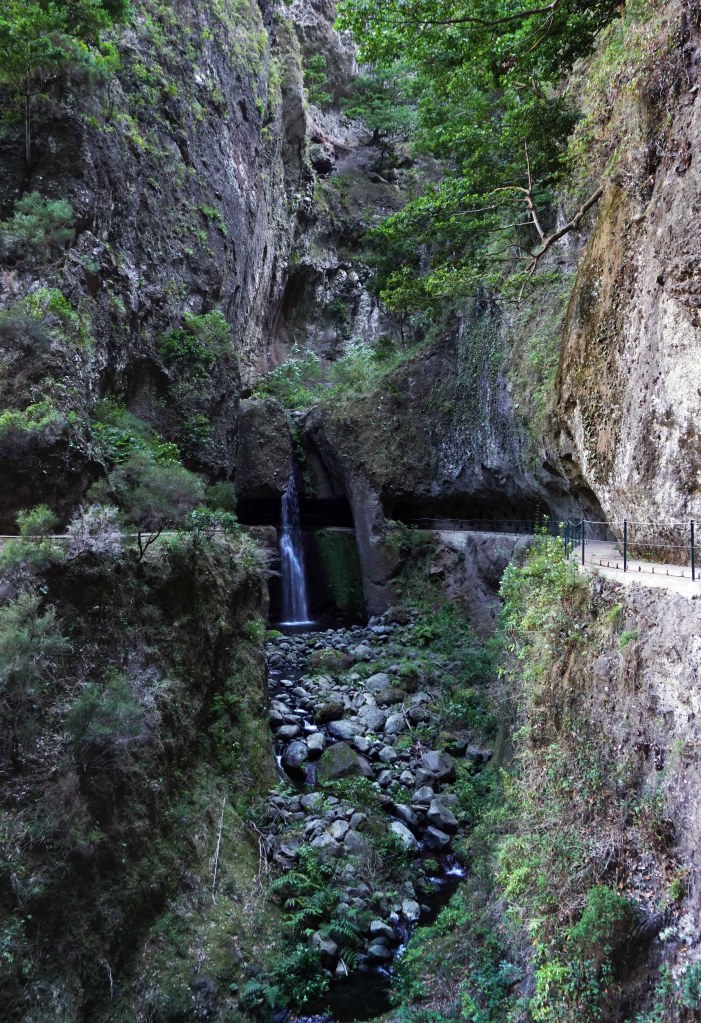PR7 Levada do Moinho - Levada Nova, Madeira