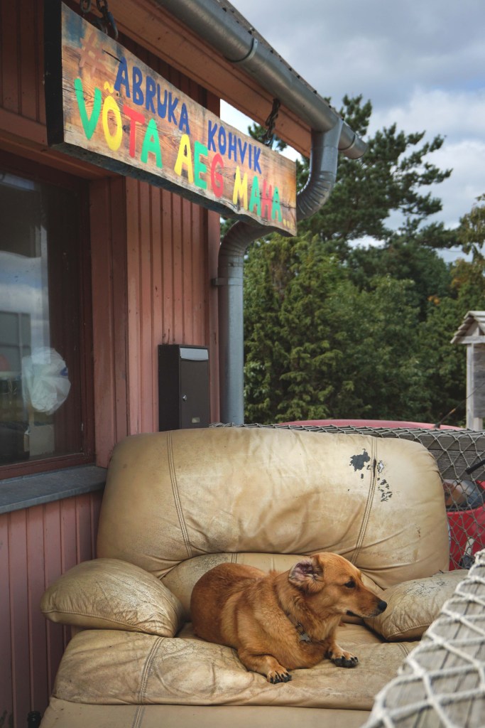 Abruka saare sadamakohvik Võta aeg maha