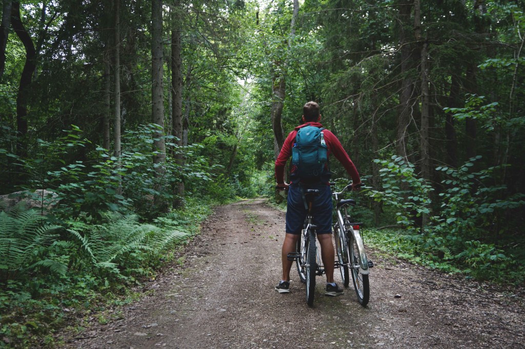 Abruka saar, salulehtmets