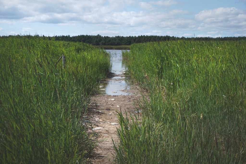 Abruka saar, Vahase silm