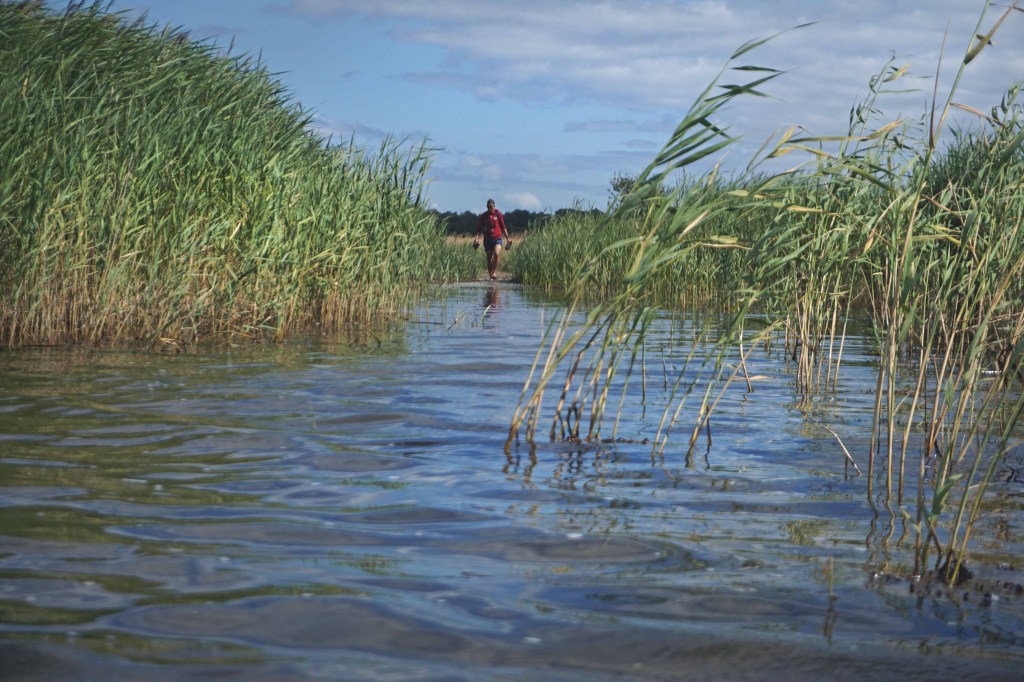 Abruka saar, Vahase silm