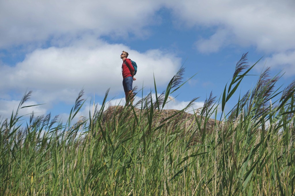 Vahase saare hiidrahn