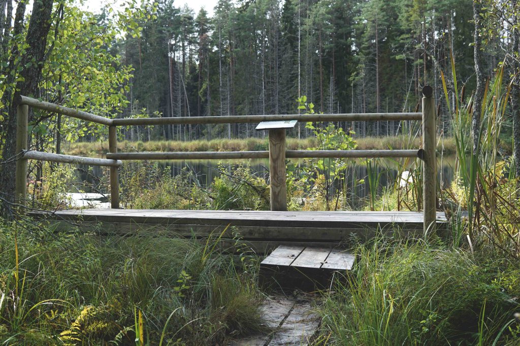 Viitna loodusõpperada, Lääne-Virumaa