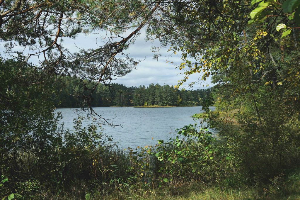 Viitna loodusõpperada, Lääne-Virumaa