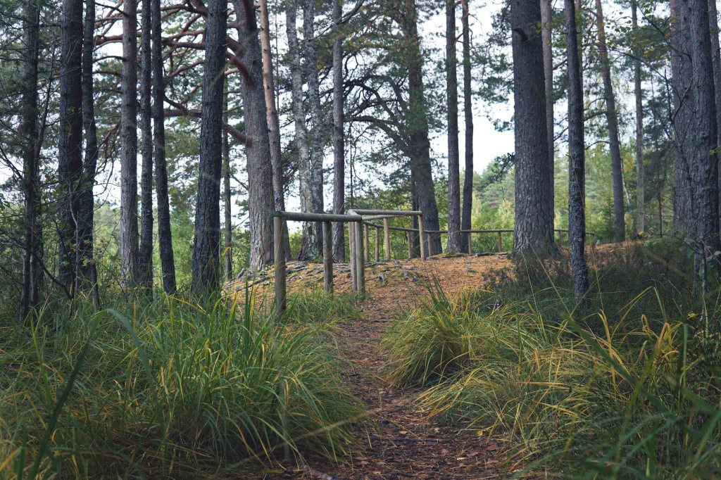 Viitna loodusõpperada, Lääne-Virumaa