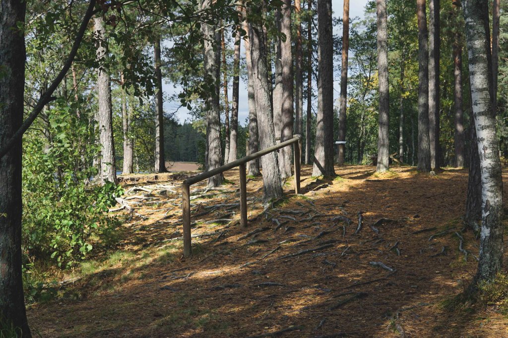 Viitna loodusõpperada, Lääne-Virumaa