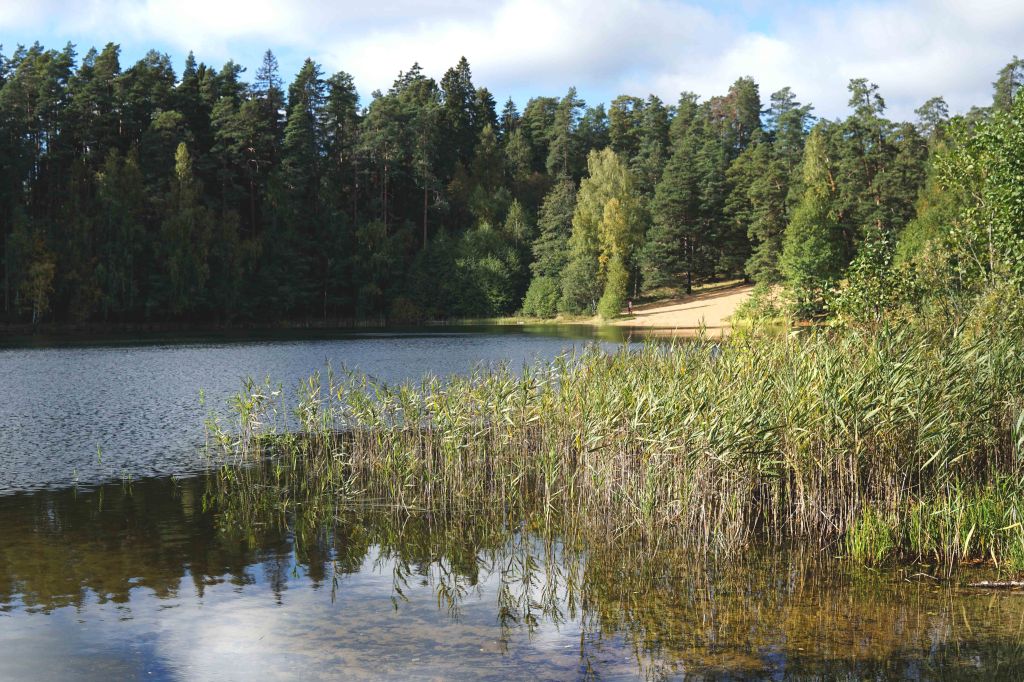 Viitna Pikkjärv, Viitna loodusõpperada, Lääne-Virumaa
