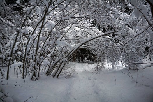 Viitna loodusõpperada, Lääne-Virumaal