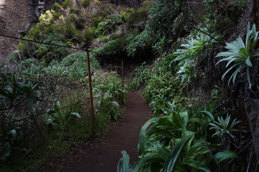 Pico do Arieiro - Pico Ruivo, Madeira