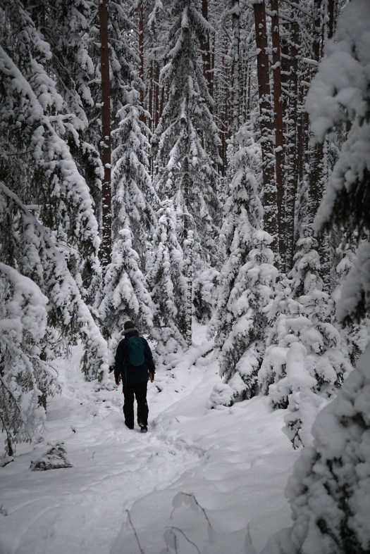 Viitna loodusõpperada, Lääne-Virumaal
