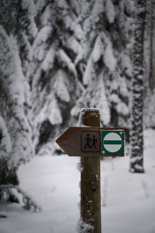 Viitna loodusõpperada, Lääne-Virumaal