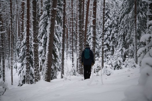 Viitna loodusõpperada, Lääne-Virumaal